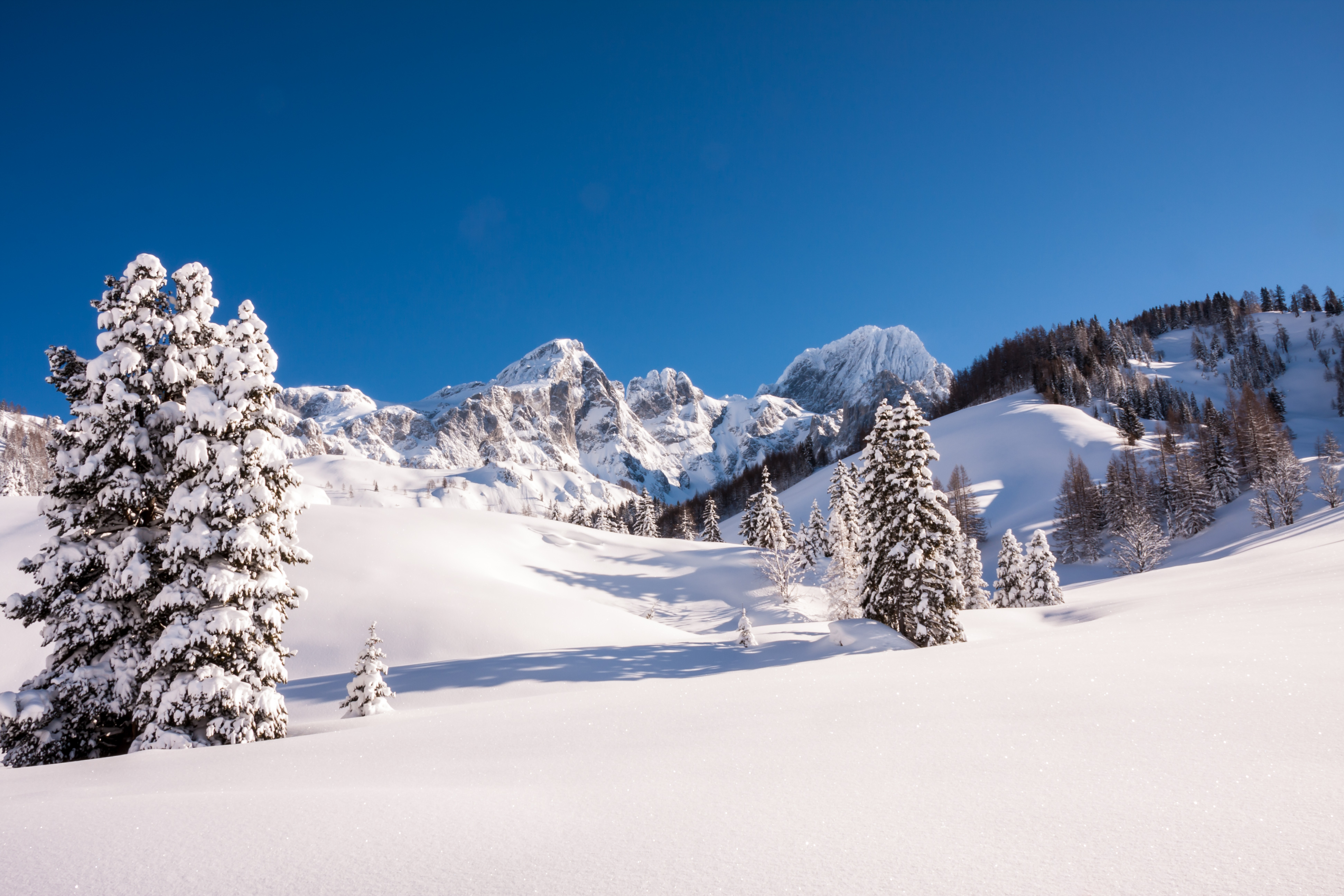 Winter